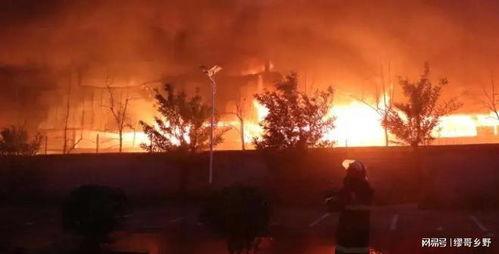 郴州露营爆料事件视频,揭秘户外露营安全与环保挑战  第1张